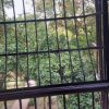 1 BHK Apartment 130 Sq.ft. for Rent - Image 4